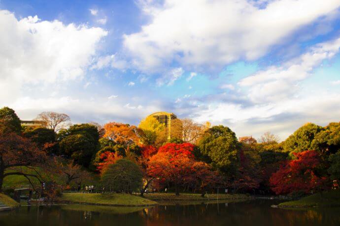 Koishikawa Korakuen Gardens(autumn leaves best now)
