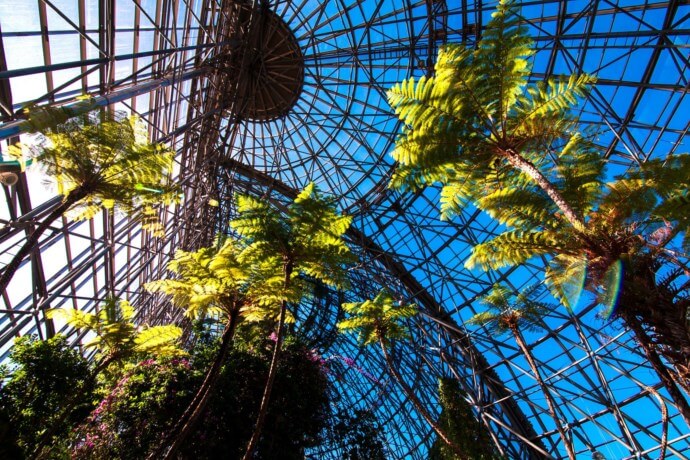To go to tropical world in Tokyo.【Tropical Greenhouse】
