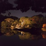 六義園の紅葉(Autumn leaves at Rikugien) 