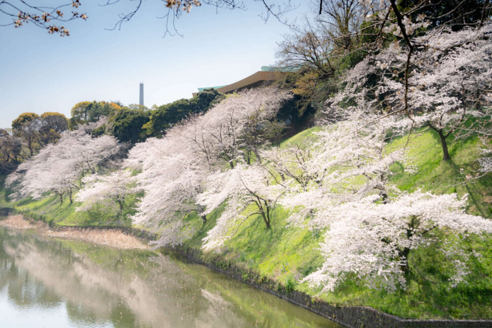 “あの人”とまた一緒に日本語を勉強できるチャンス  The chance to study Japanese with “that person” again