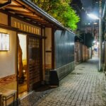 Using Japanese to find your own “Japan”