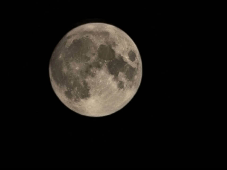  The Moon Is Beautiful Isn t It Kudan Institute Of Japanese 