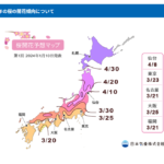 2024年桜の開花予想　Cherry blossom forecast for 2024　