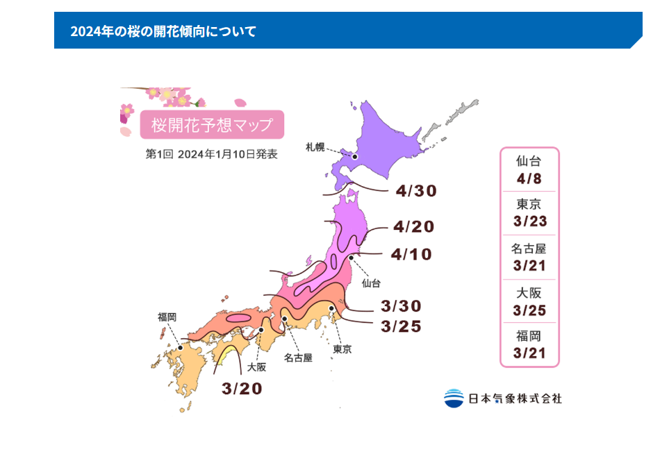 2024年桜の開花予想　Cherry blossom forecast for 2024　