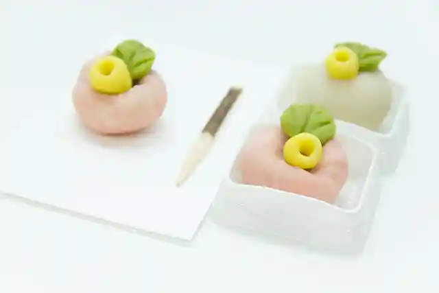 Japanese sweets making experience