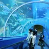 水族館