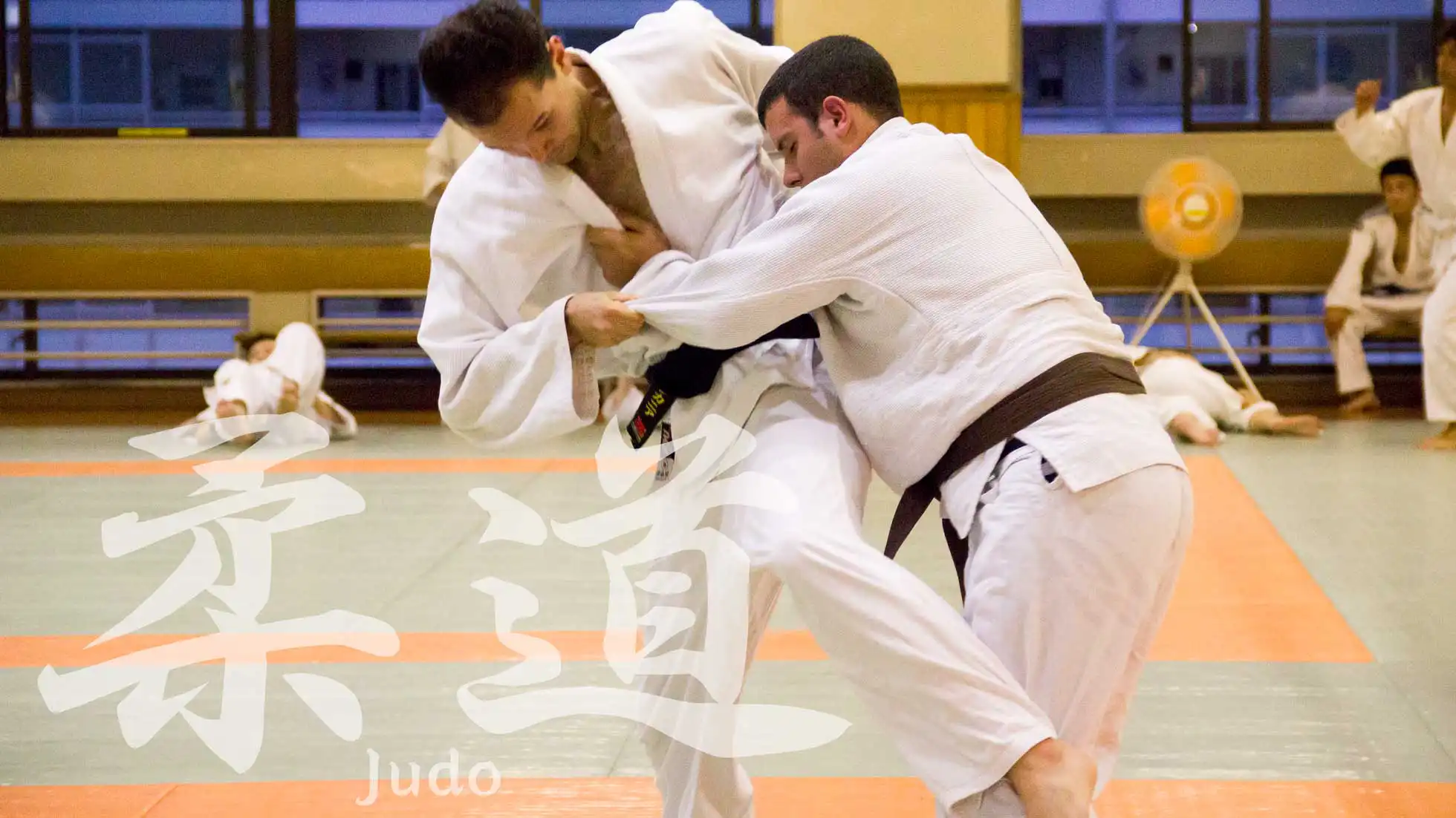 Judocourse